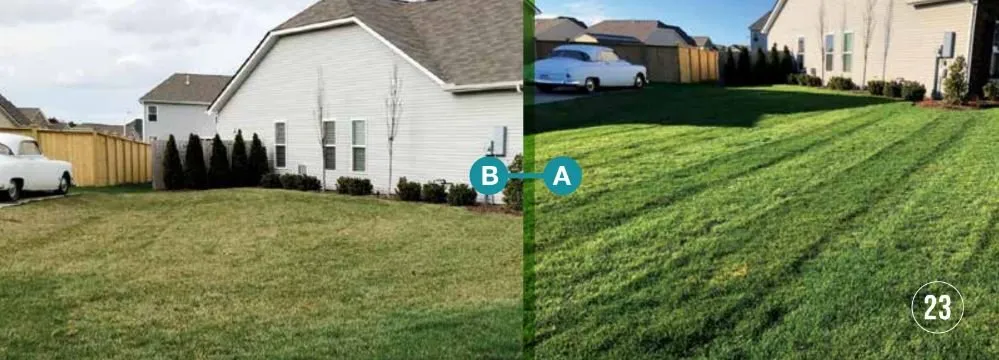 Reliable landscape design for year-round maintenance in Keller, TX by One Awesome Dad