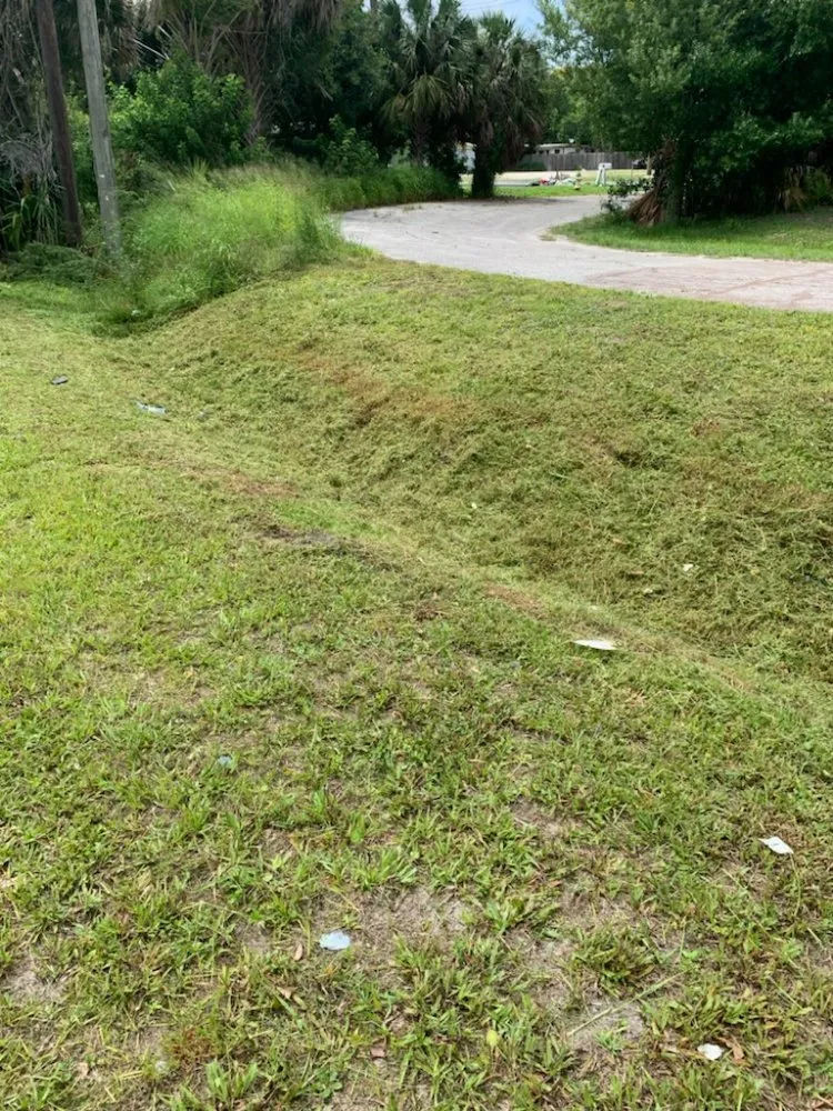 Top-rated yard cleanup service for outdoor upgrades in Auburndale, FL by One Call Away Lawncare and Landscaping