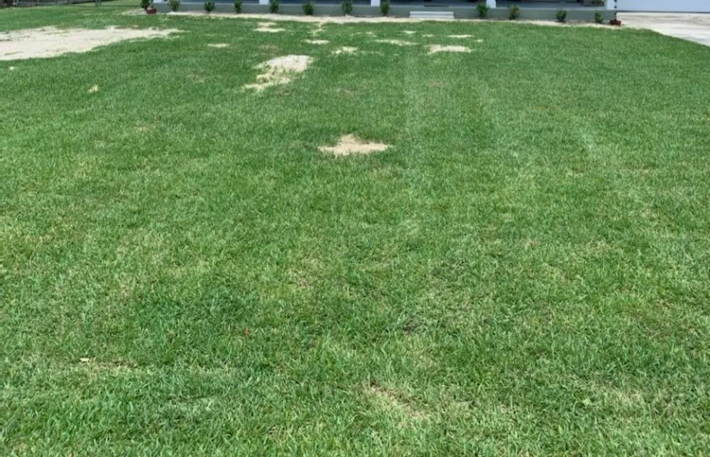 Custom yard cleanup service for year-round maintenance across Auburndale, FL - One Call Away Lawncare and Landscaping