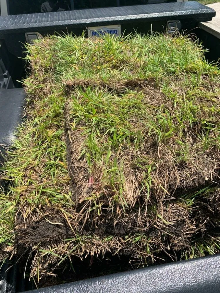 Local outdoor landscaping in Auburndale, FL by One Call Away Lawncare and Landscaping