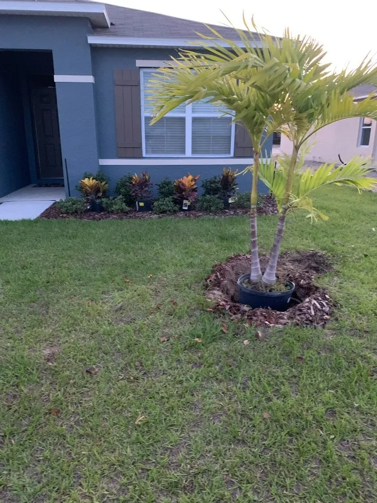 Professional residential landscaping experts serving Auburndale, FL - One Call Away Lawncare and Landscaping