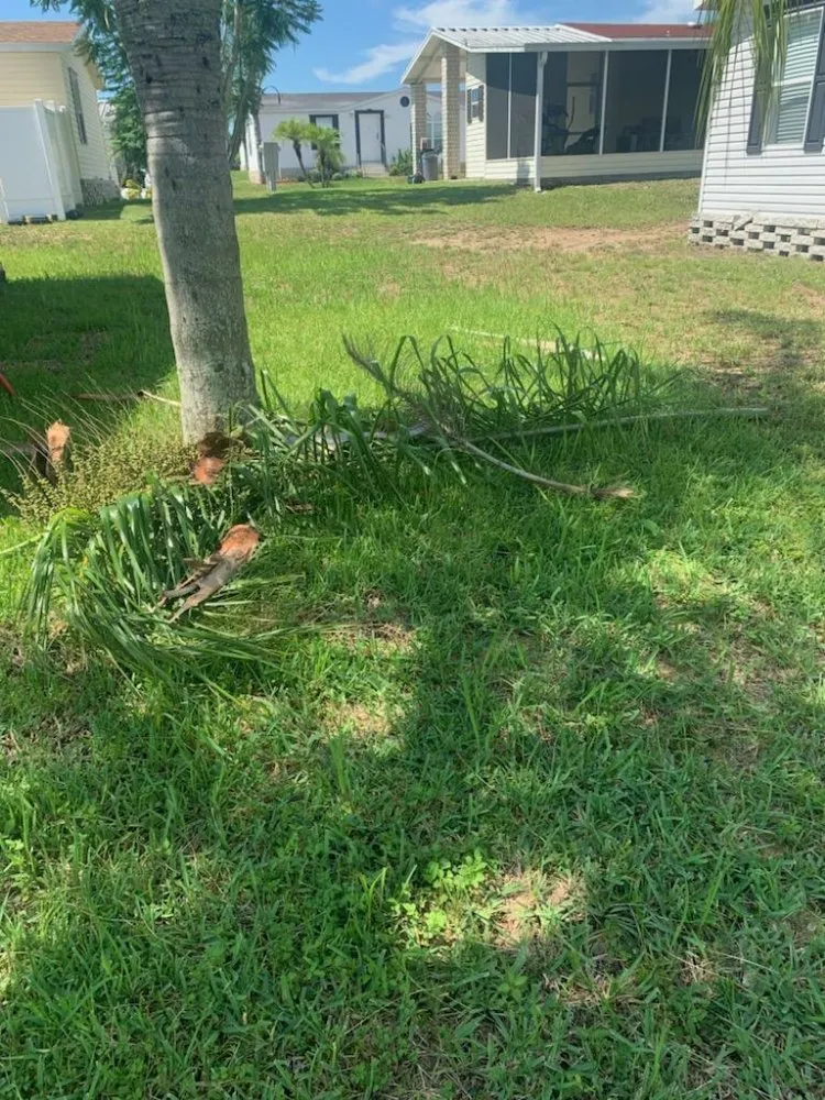 Trusted garden landscaping with custom design across Auburndale, FL - One Call Away Lawncare and Landscaping