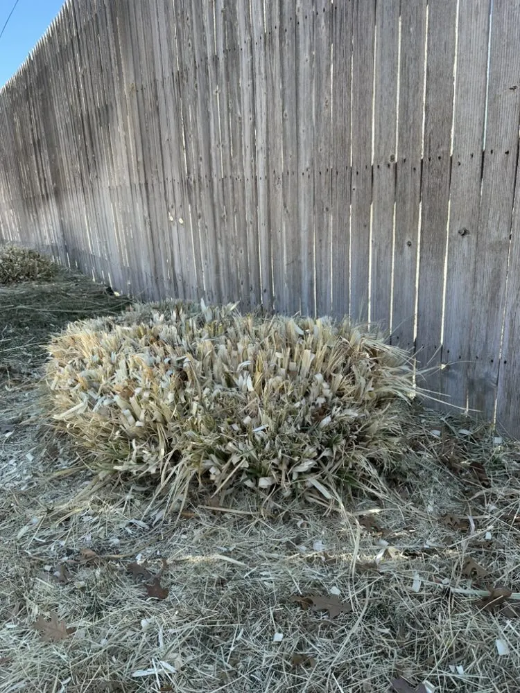 Custom lawn care service in Canyon, TX - One-Call-Away lawns