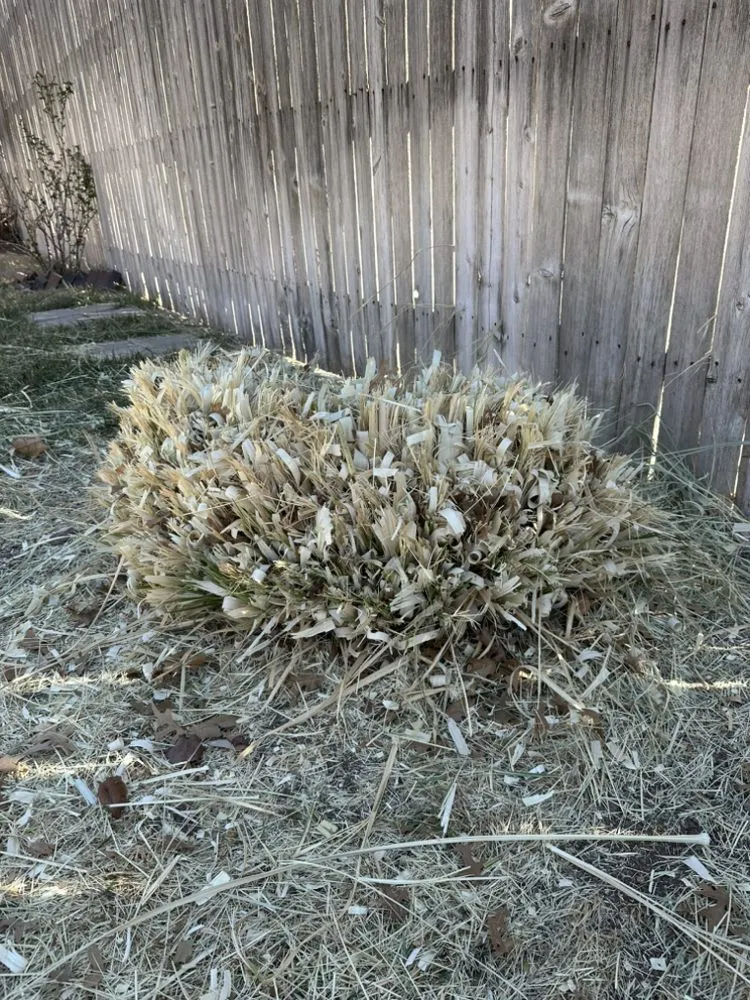 Reliable landscaping services in Canyon, TX - One-Call-Away lawns