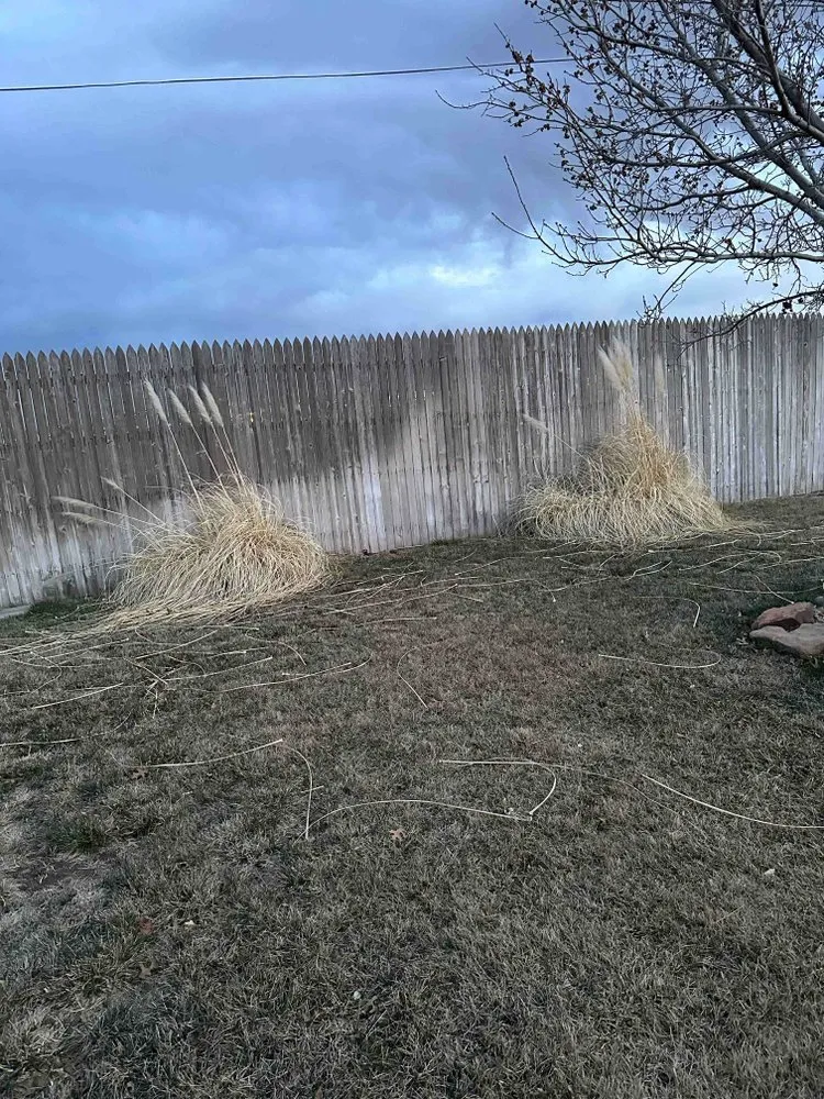 Top-rated yard cleanup service for residential properties across Canyon, TX - One-Call-Away lawns