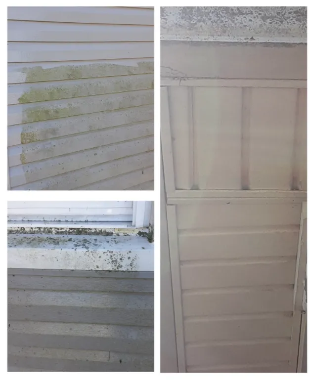 Reliable lawn care service experts serving Richwood, OH - One Call Cleaning & Clearing