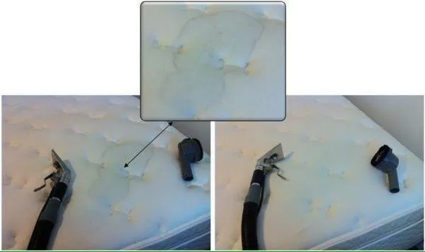 Professional yard maintenance in Albuquerque, NM by One Call Does It All