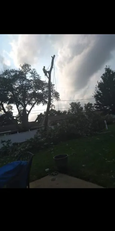 Affordable yard maintenance for year-round maintenance across Peoria Heights, IL - One Call Does It All