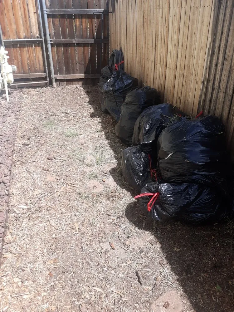 Local lawn mowing service for residential properties across Winslow, AZ - One Call Does It All