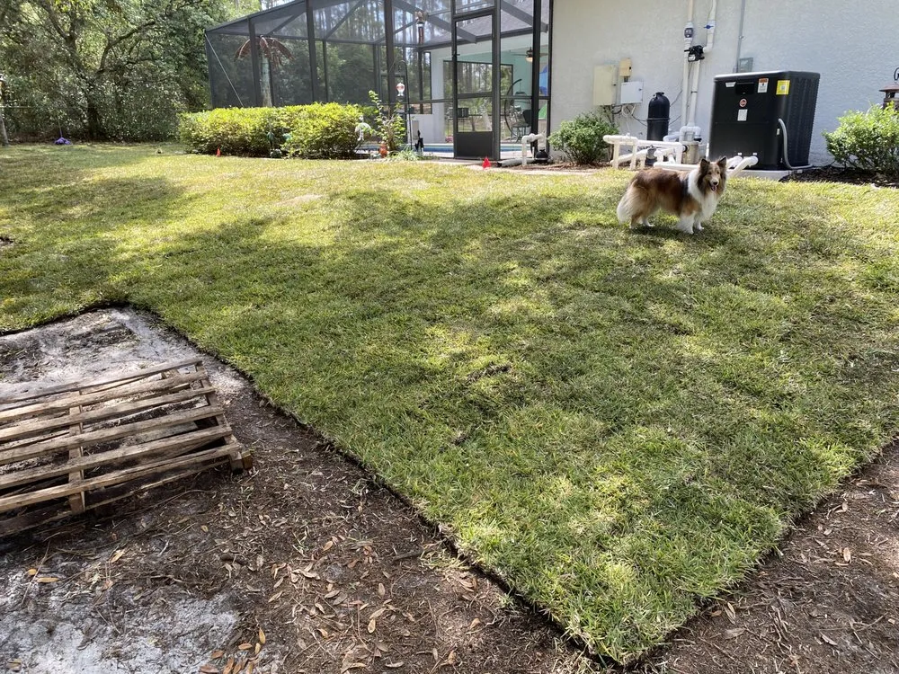 Professional garden landscaping in Homosassa, FL by One Call Home Improvement & Landscaping