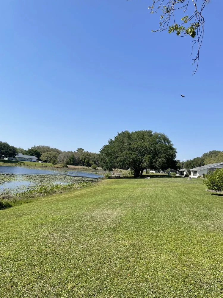 Reliable yard cleanup service experts serving Homosassa, FL - One Call Home Improvement & Landscaping