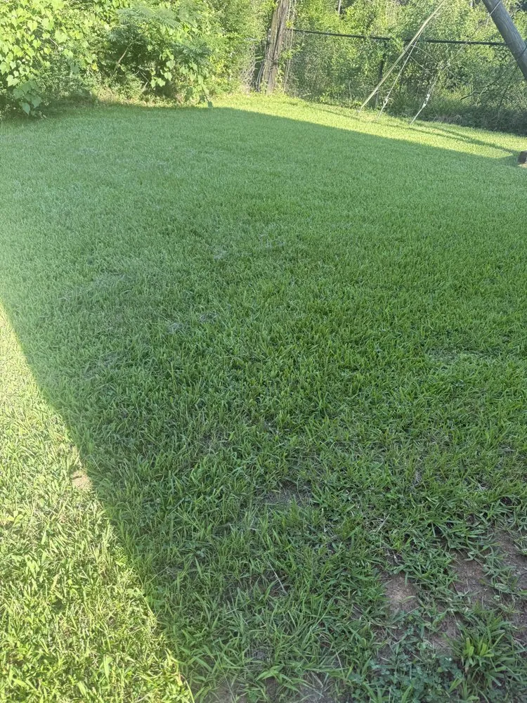 Professional lawn mowing service in Keithville, LA by One Call Property Care