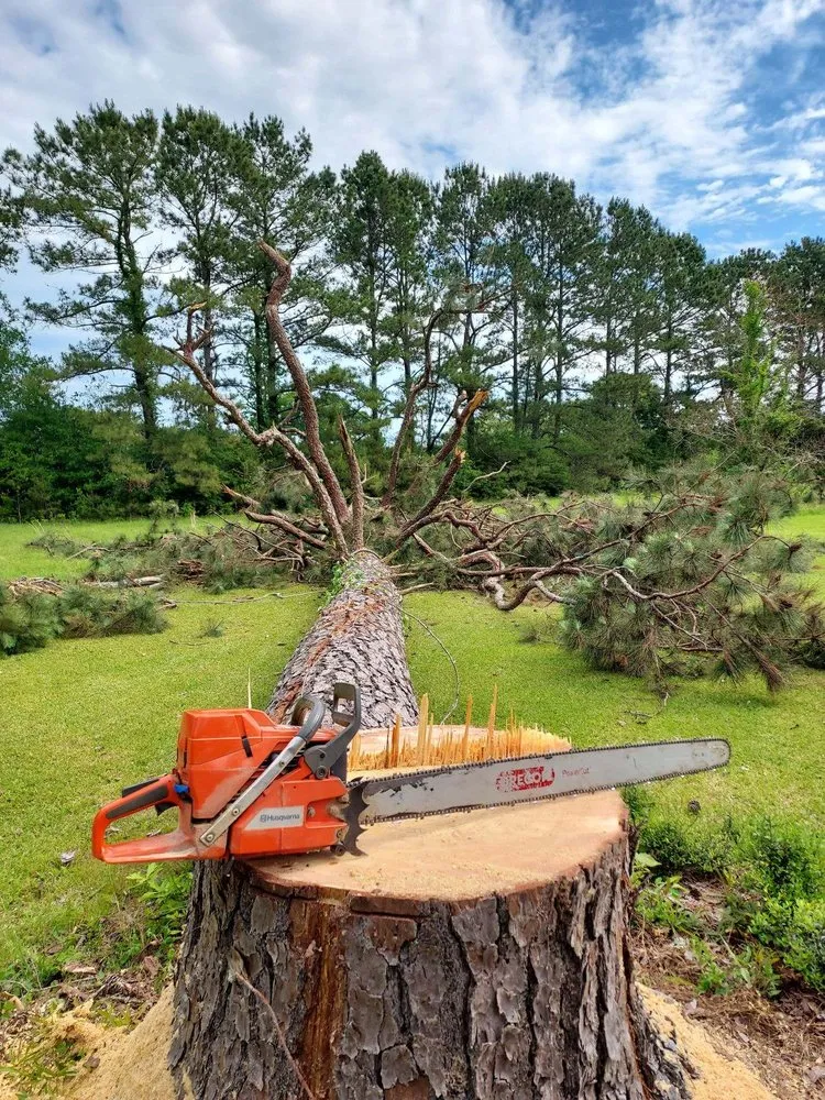 Professional residential landscaping in Franklinton, LA - One Call Saw Works