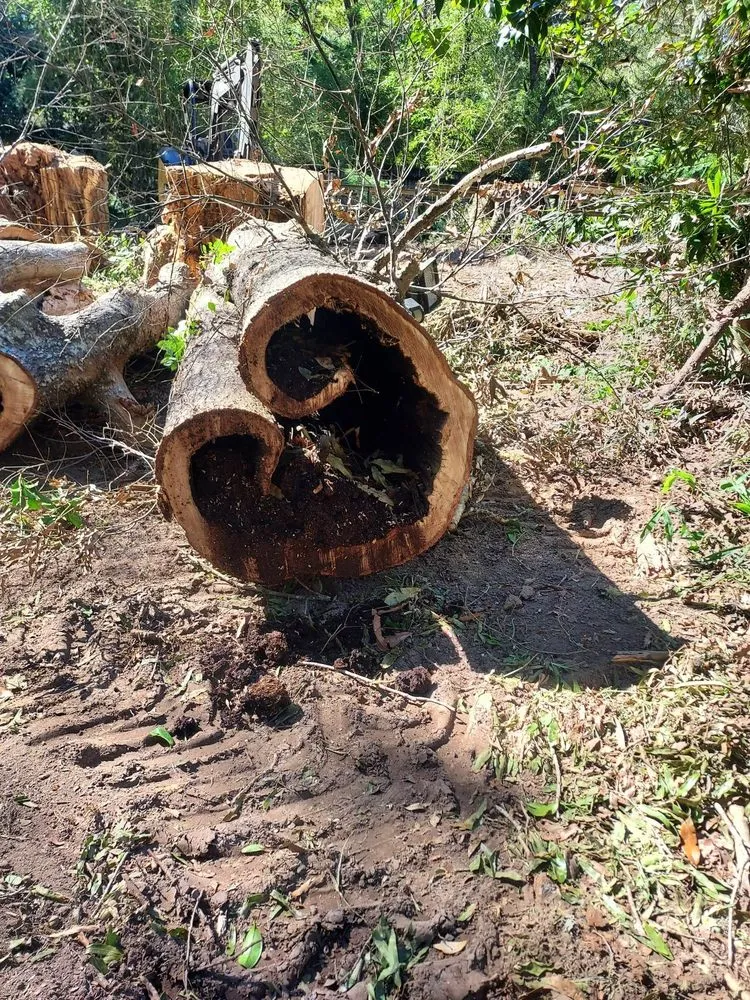 Custom residential landscaping experts serving Franklinton, LA - One Call Saw Works