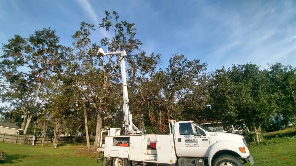 Local landscaping services in Franklinton, LA - One Call Saw Works