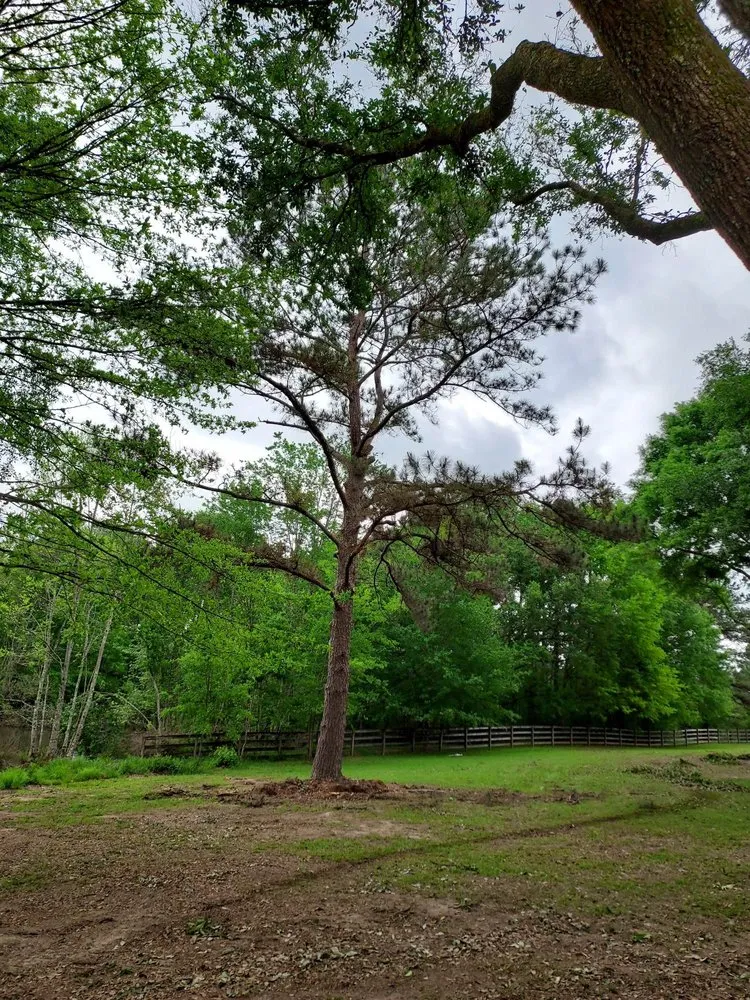 Expert yard cleanup service experts serving Franklinton, LA - One Call Saw Works