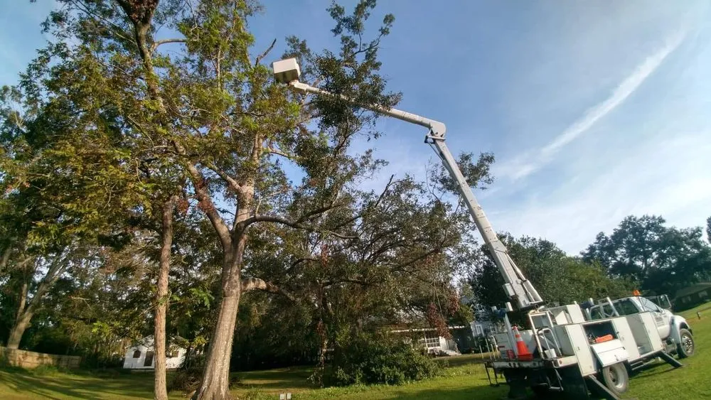 Affordable landscape design experts serving Franklinton, LA - One Call Saw Works