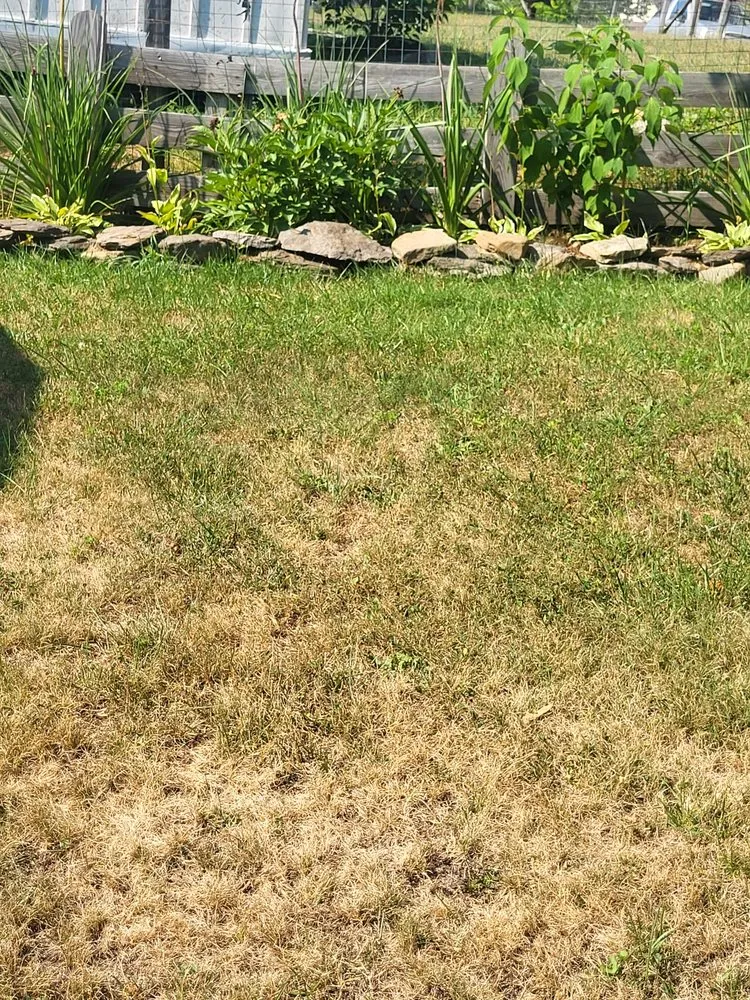 Trusted landscaping services in Hillsville, VA - One Call To Riley