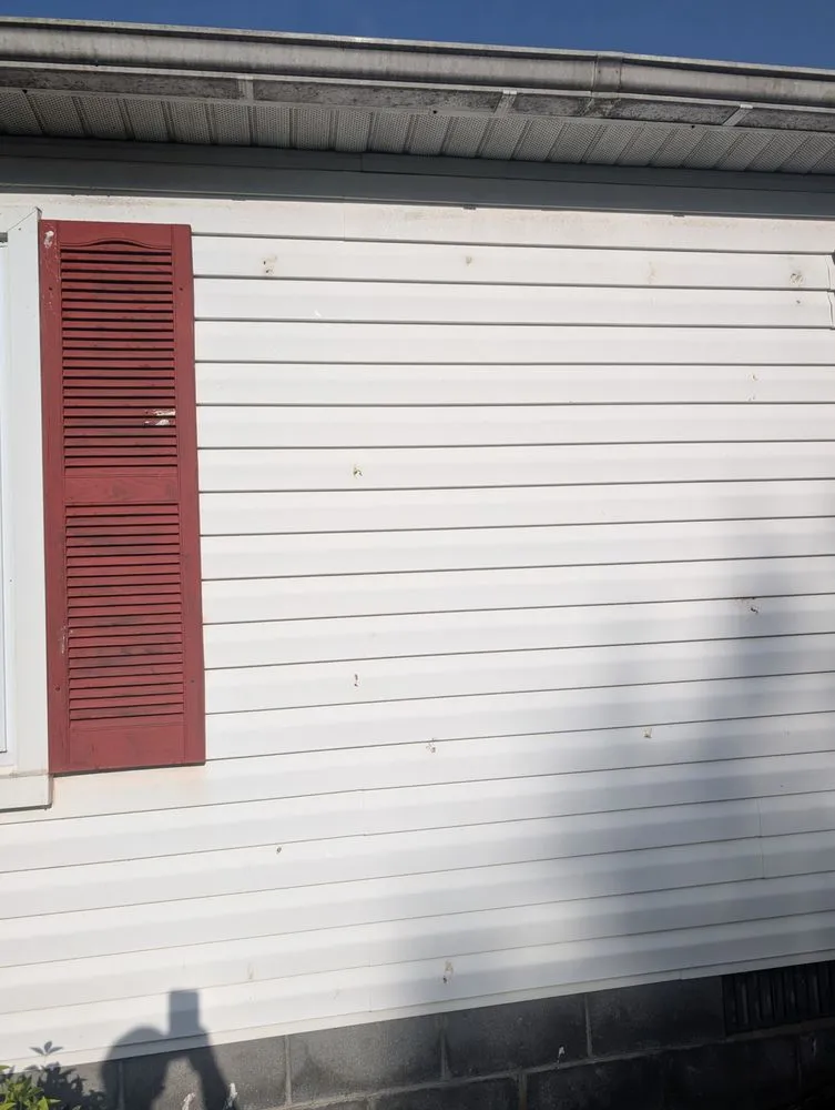 Reliable yard cleanup service experts serving Hillsville, VA - One Call To Riley