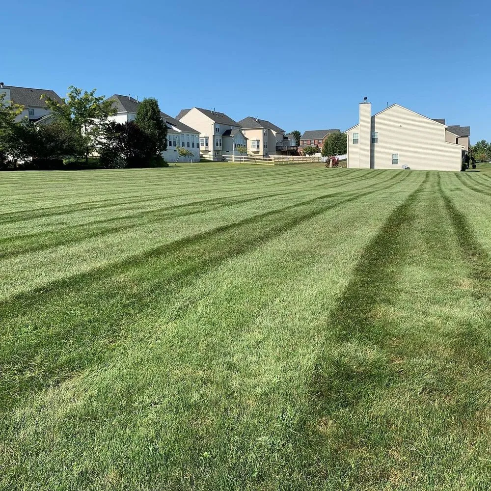 Local yard cleanup service for beautiful yards across Taneytown, MD - One Call We Do It All