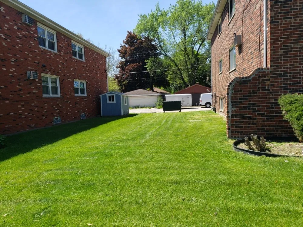 Custom yard cleanup service for outdoor upgrades in Chicago, IL by One Choice Property Preservation