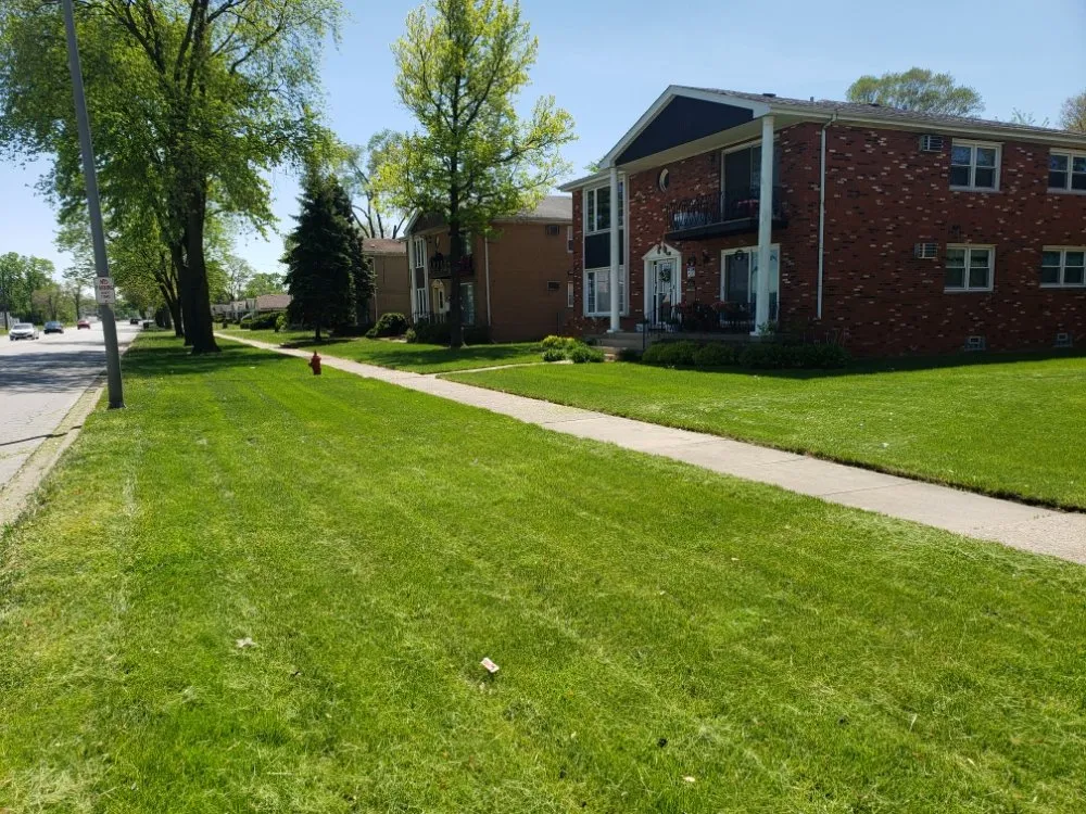 Reliable yard cleanup service experts serving Chicago, IL - One Choice Property Preservation