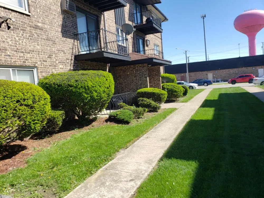 Trusted yard maintenance experts serving Chicago, IL - One Choice Property Preservation