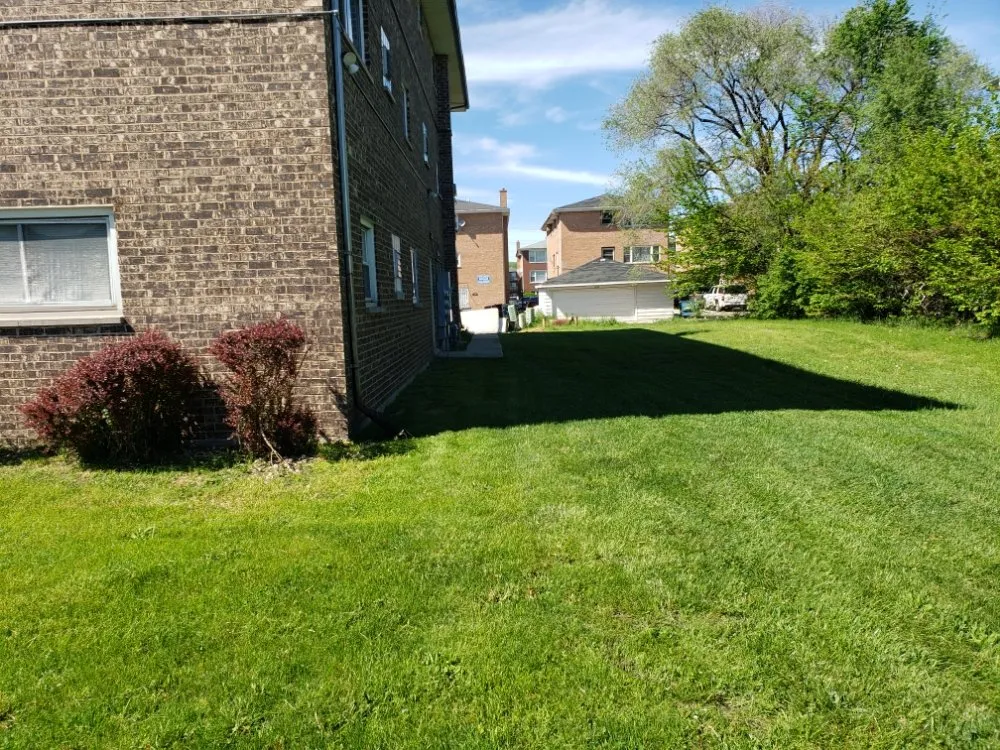 Affordable landscape design for residential properties in Chicago, IL by One Choice Property Preservation