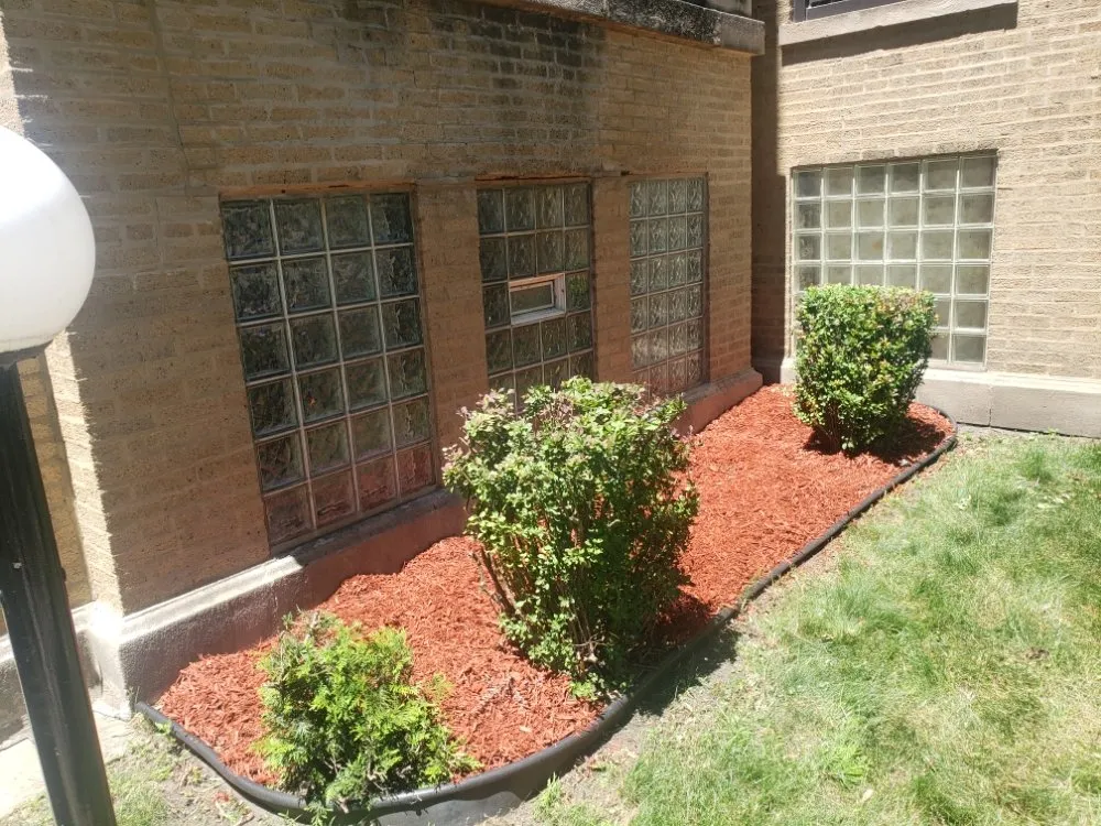 Reliable yard maintenance for homes in Chicago, IL by One Choice Property Preservation