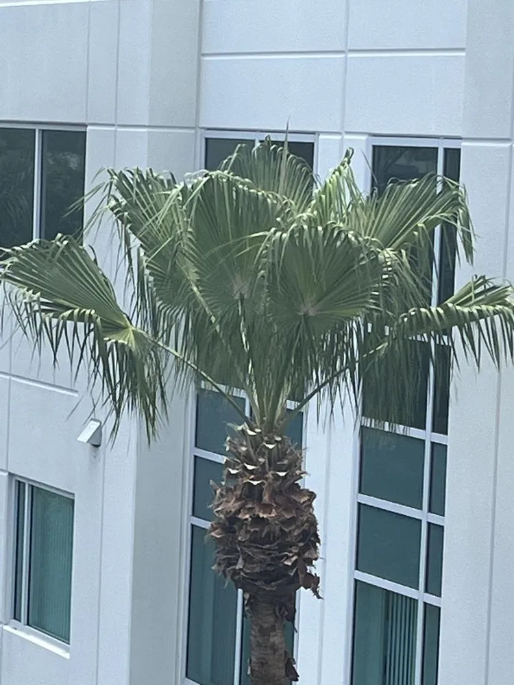 Top-rated landscaping services with custom design across West Palm Beach, FL - One Clean Services