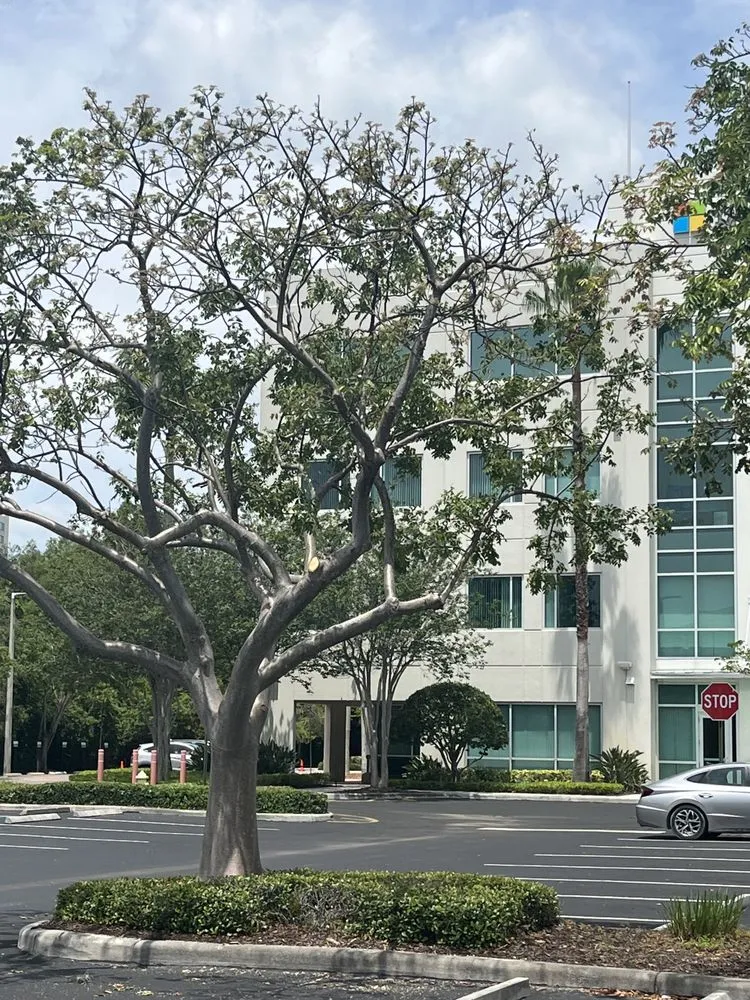 Local lawn mowing service with custom design across West Palm Beach, FL - One Clean Services