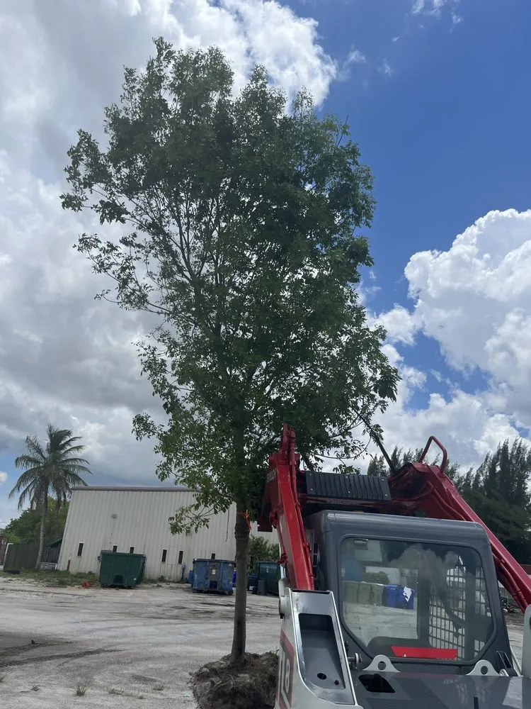 Local residential landscaping for residential properties across West Palm Beach, FL - One Clean Services