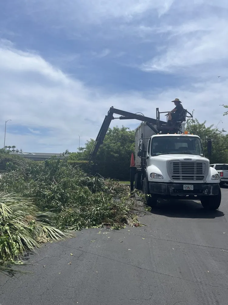 Reliable landscape design experts serving West Palm Beach, FL - One Clean Services