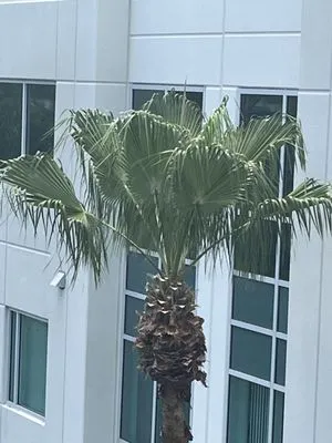 One Clean Services Logo