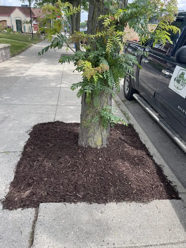 Top-rated residential landscaping in Lansing, MI - One Cut