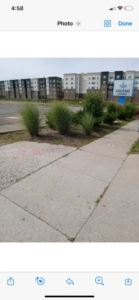 Top-rated yard maintenance experts serving Lansing, MI - One Cut