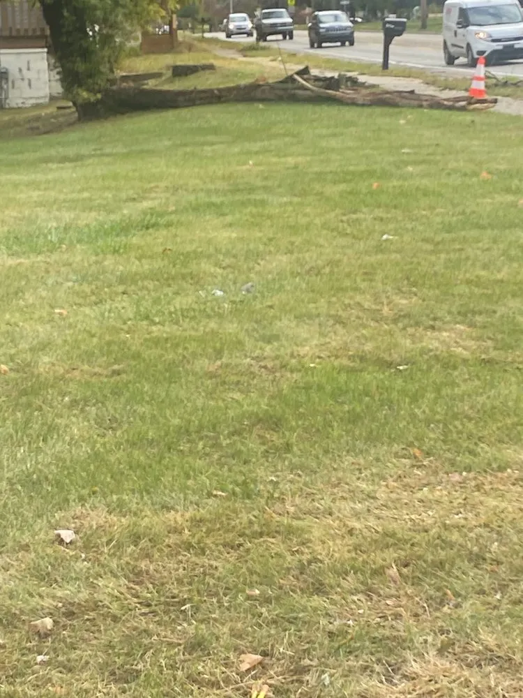 Trusted residential landscaping in Lansing, MI by One Cut