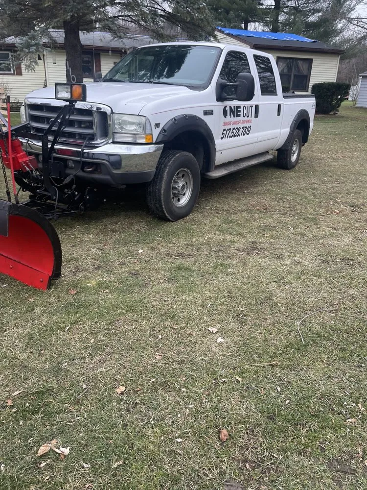 Expert lawn care service in Lansing, MI - One Cut