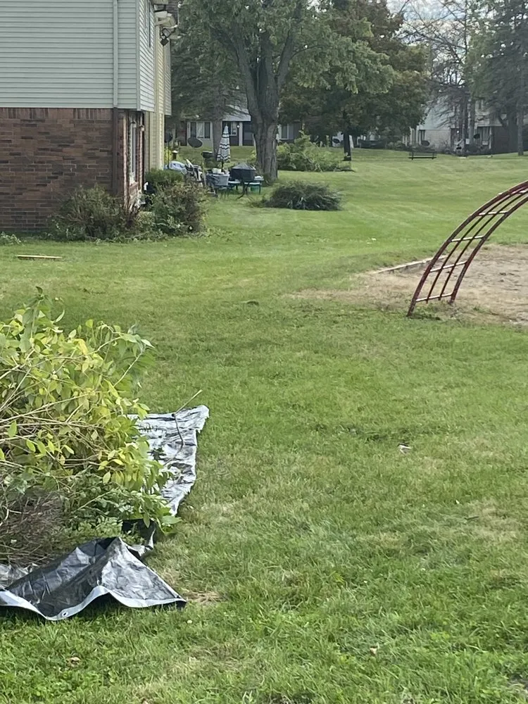 Custom landscape design for year-round maintenance across Lansing, MI - One Cut