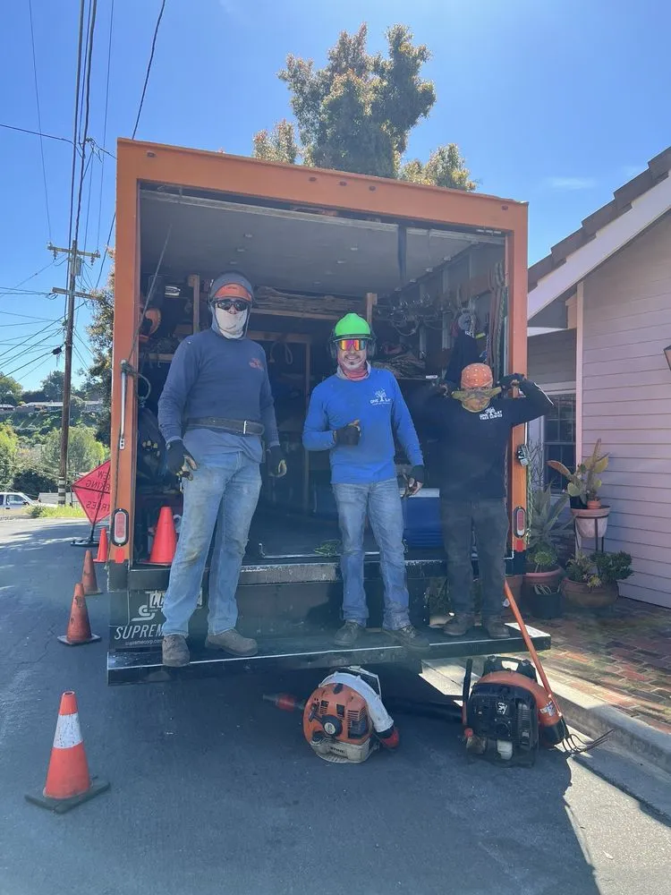 Top-rated residential landscaping experts serving Los Angeles, CA - One Day Tree service