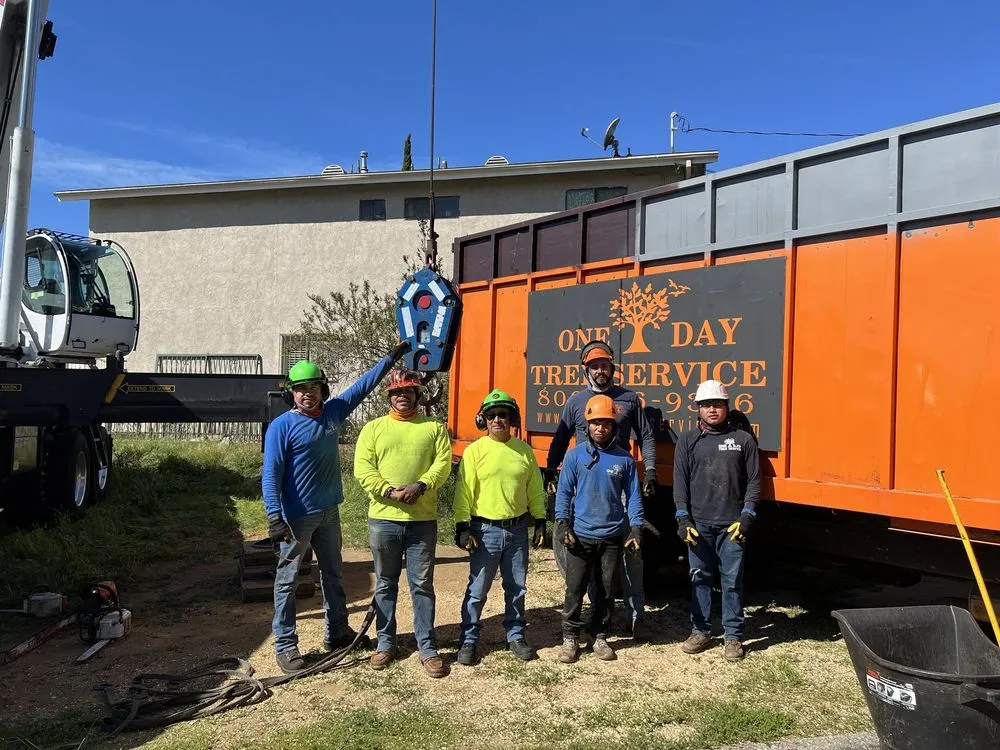 Reliable garden landscaping near you in Los Angeles, CA by One Day Tree service