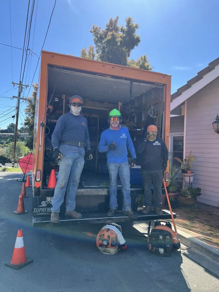 Affordable yard cleanup service for year-round maintenance across Los Angeles, CA - One Day Tree service