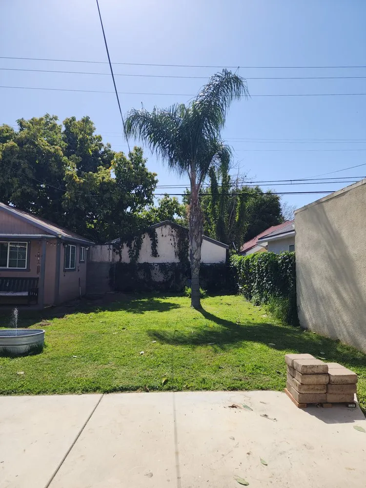 Trusted lawn care service for beautiful yards across Los Angeles, CA - One Day Tree service