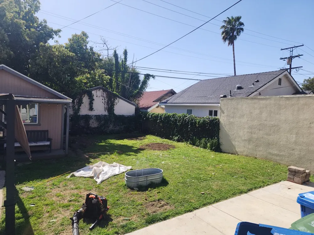 Local landscaping services for beautiful yards across Los Angeles, CA - One Day Tree service