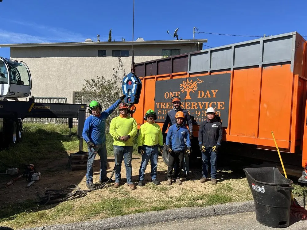 Expert garden landscaping experts serving Los Angeles, CA - One Day Tree service