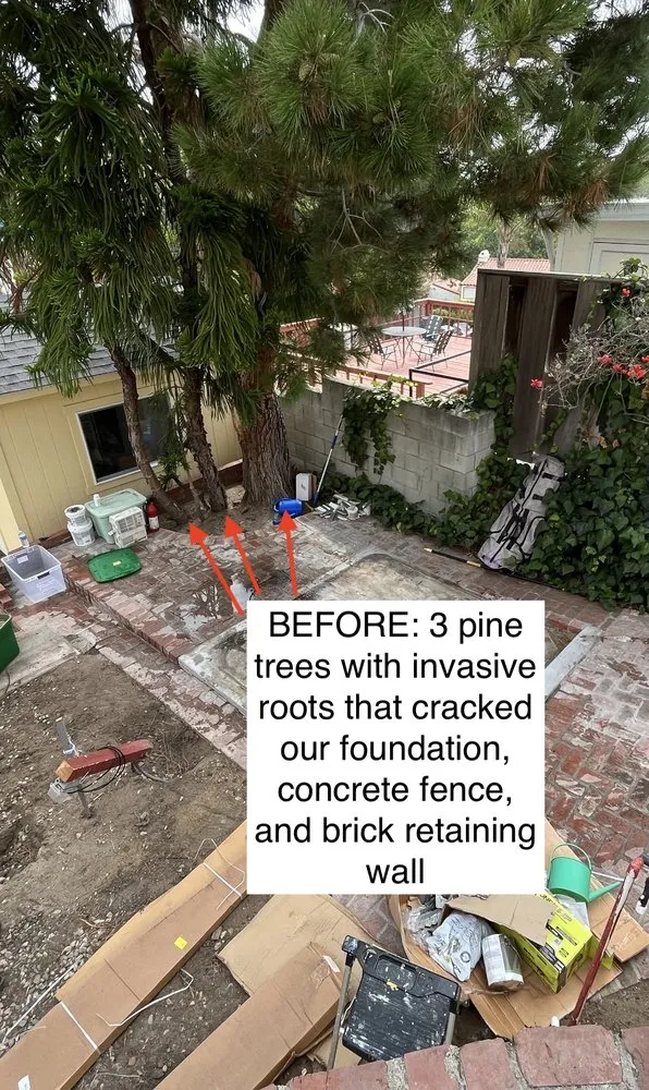 Affordable yard cleanup service in Los Angeles, CA by One Day Tree service