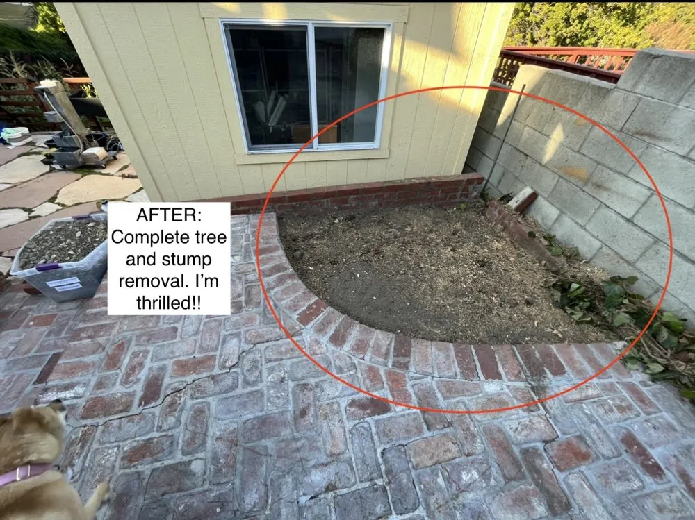 Affordable yard maintenance in Los Angeles, CA - One Day Tree service