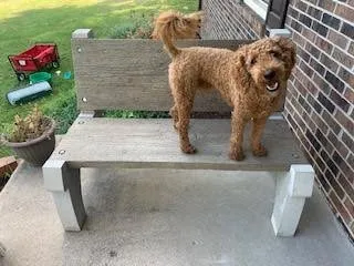 One Design Concrete Creations Logo