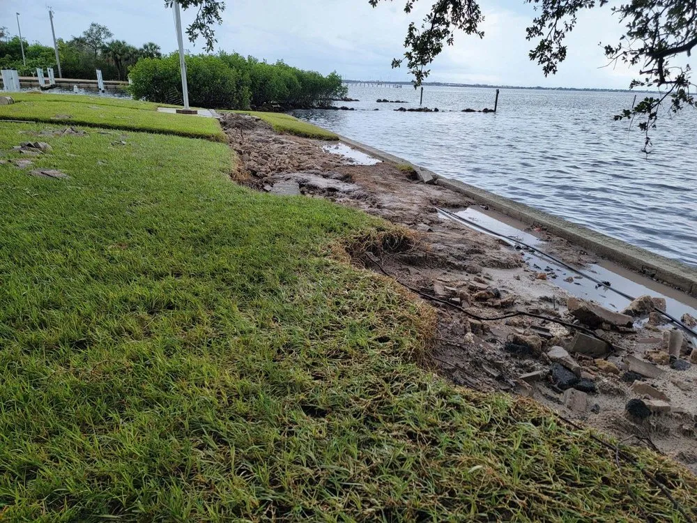 Top-rated yard cleanup service experts serving Punta Gorda, FL - One Earth Landscape Services