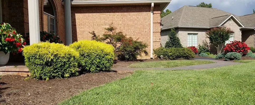 Professional yard cleanup service experts serving Roanoke, VA - One Earth Landscapes